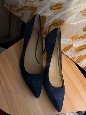 Ann Taylor Navy Suede Pointed-Toe Pumps